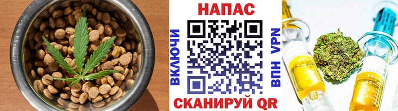 hydra ССЫЛКА  Суджа  Cannafood марихуана 