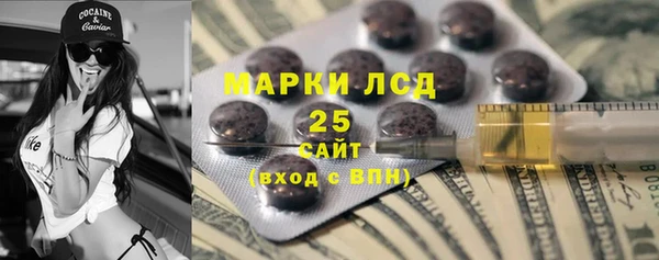 ГАЛЛЮЦИНОГЕННЫЕ ГРИБЫ Абаза