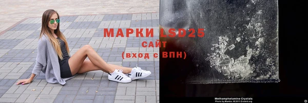 ГАЛЛЮЦИНОГЕННЫЕ ГРИБЫ Абаза